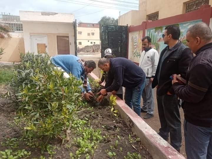 " التنمية المحلية" زراعة الأشجار المثمرة بالمدارس ومراكز الشباب و الحدائق و قرى مركز قلين، ضمن المبادرة الرئاسية " 100 مليون شجرة