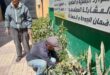 محافظ الإسكندرية : زراعة ٧١١٨١ شجرة منذ بداية تنفيذ المبادرة