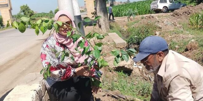 رئيس مركز ومدينة السنطة تواصل جولاتها بزراعة الأشجار المثمرة