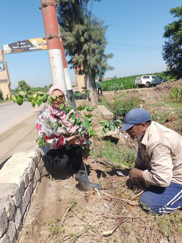 رئيس مركز ومدينة السنطة تواصل جولاتها بزراعة الأشجار المثمرة