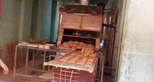 تموين القليوبيه" تحرير عدد ١٠ مخالفات لمخابز بلدية لانتاج خبز غير مطابق للمواصفات