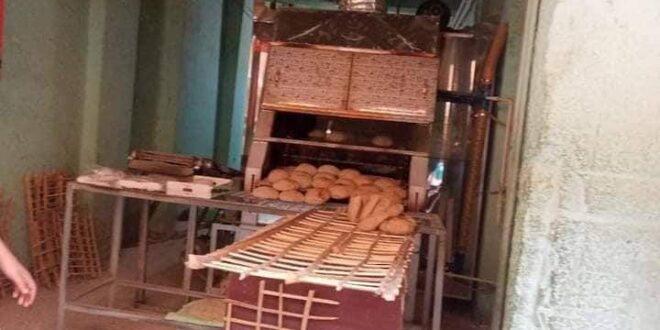 تموين القليوبيه" تحرير عدد ١٠ مخالفات لمخابز بلدية لانتاج خبز غير مطابق للمواصفات
