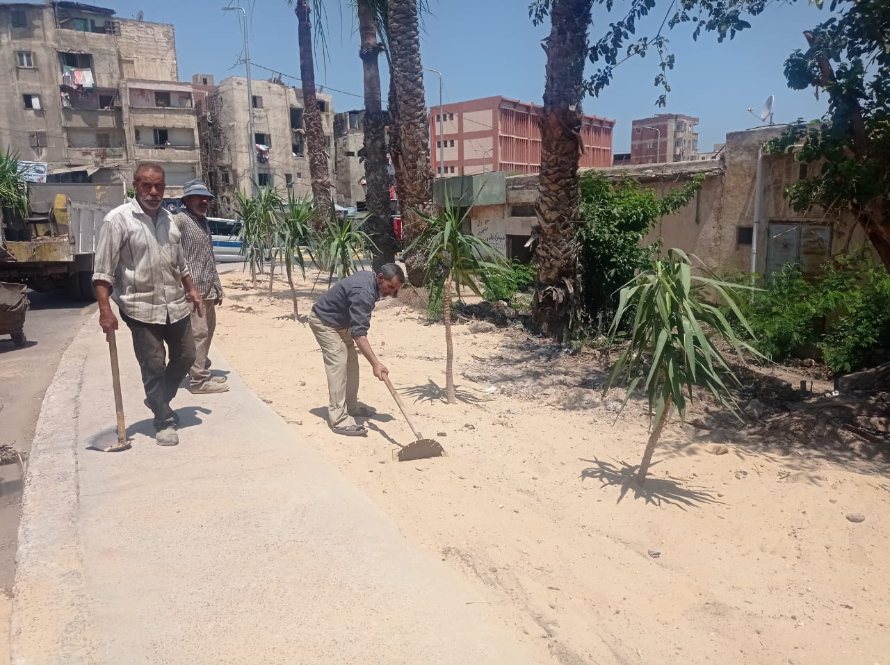 محافظ الإسكندرية زراعة نحو 138 شجرة مثمرة وغير مثمرة بالثغر منذ بداية تنفيذ المبادرة