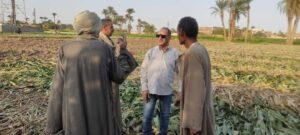 حملات توعية للمزارعين بمحافظة اسيوط