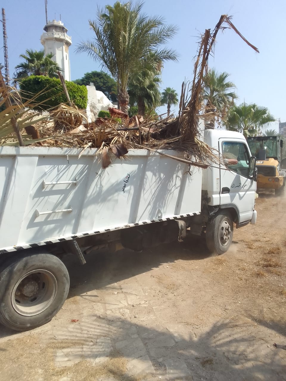 اثار الاسكندريه رفع 10 طن مخلفات زراعية من منطقة اثار كوم الناضورة