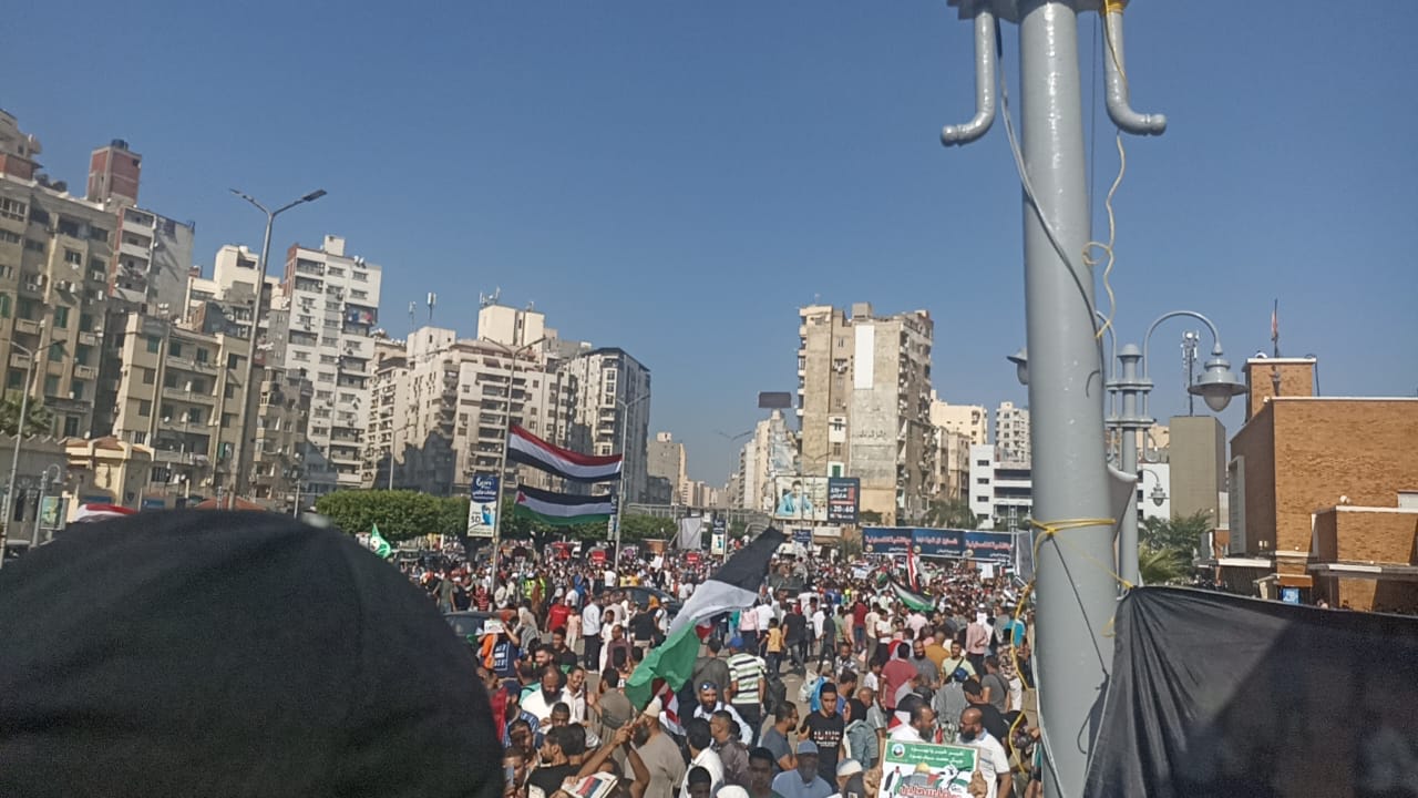 اسكندرية تشتعل لنصرة فلسطين