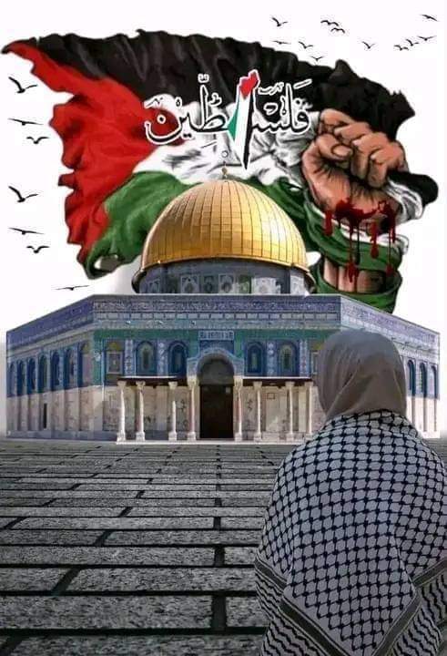 فلسطين ياوجع العمر 
