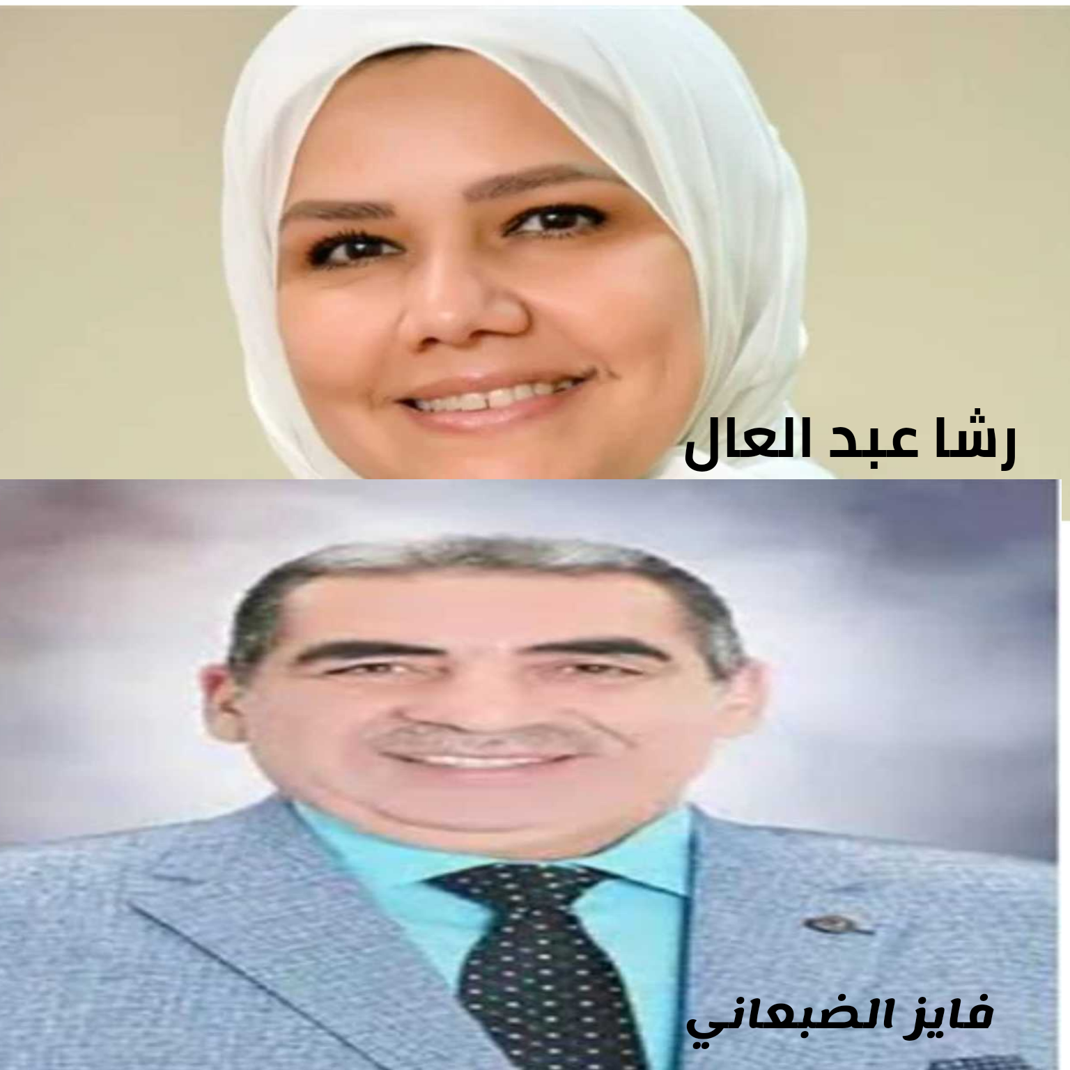 إقالة الضبعاني رئيس مصلحة الضرائب المصرية بعد ٥ أشهر من تعيينه