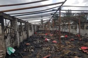 نفوق عدد 12 الف كتكوت إثر حدوث حريق داخل مزرعة دواجن بمركز بدر بالبحيرة