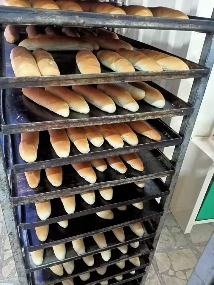 تموين الإسكندرية تتابع تطبيق الاسعار الجديدة للخبز الفينو والسياحي "اعرف الأوزان والاسعار"