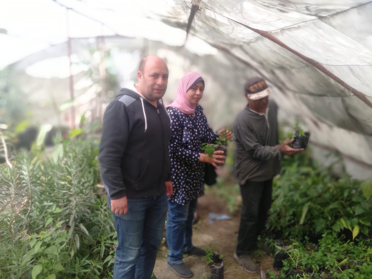  مديرية الزراعة بالإسكندرية متابعة العمليات الزراعية من مكافحه آفات ورى