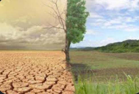 الذكرى الثلاثون لليوم العالمي لمكافحة " التصحر والجفاف"