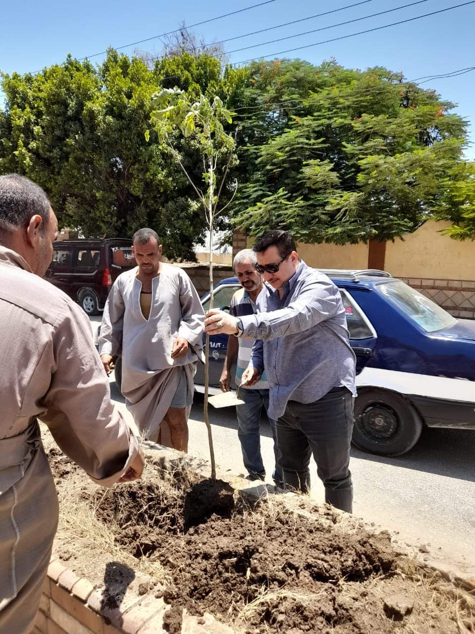 "الشطوري "إستمرار المبادرة الرئاسية لزراعة ١٠٠ مليون شجرة و أعمال التشجير وزراعة الأشجار بطريق الجوازات