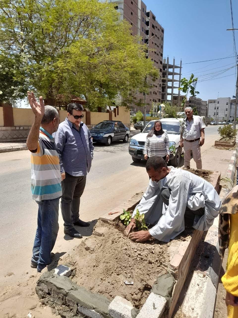 "الشطوري "إستمرار المبادرة الرئاسية لزراعة ١٠٠ مليون شجرة و أعمال التشجير وزراعة الأشجار بطريق الجوازات