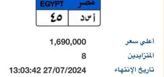 مزاد على لوحة سيارة يرتفع إلى مليون و 690 ألف جنية