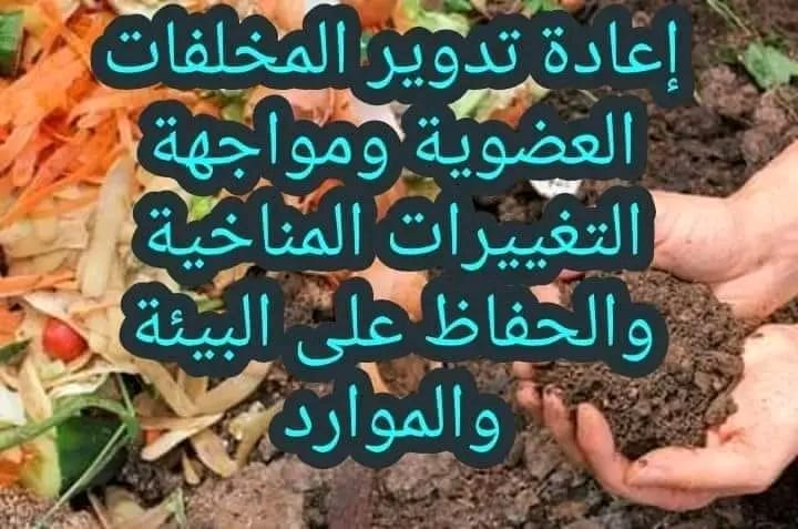 الزراعة العضوية في مصر