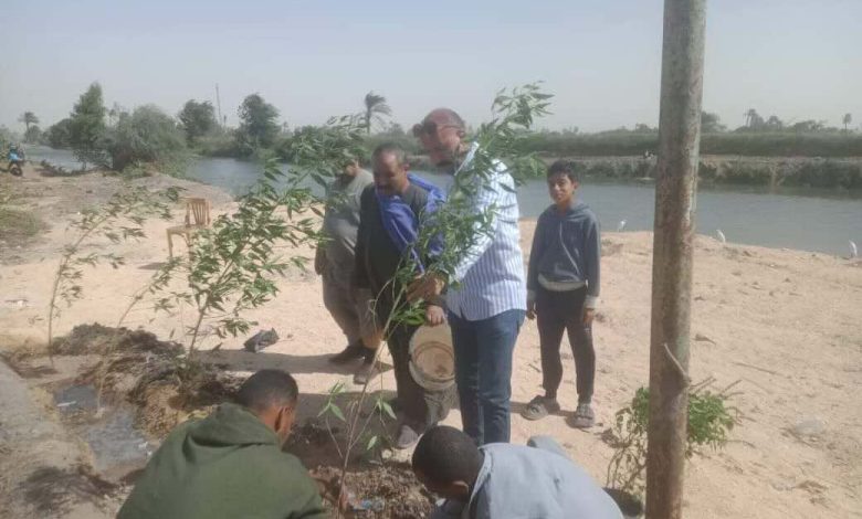  زراعة 107 شتلات بمركزي مطاي وسمالوط ضمن المبادرة الرئاسية 100 مليون شجرة