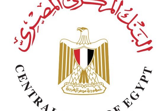 دعم الشركات الناشئة