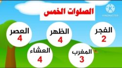 لمن لا يصلي السنن ... هل تعلم كم عدد الركعات التي يضيع ثوابها منك