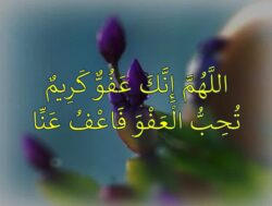 هل تعلم مامعنى { آللهُمّ إنك عَفوٌ تُحِبُ آلعَفو فاعفُ عنآ} ؟