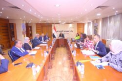 وزيرة التضامن الاجتماعي تترأس اجتماع مجلس إدارة صندوق دعم الصناعات 