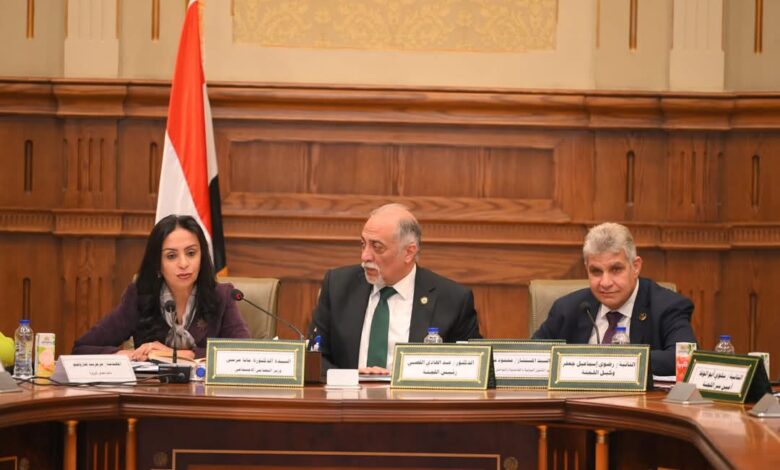 وزيرة التضامن الاجتماعي أمام لجنة التضامن الاجتماعي والأسرة بمجلس النواب