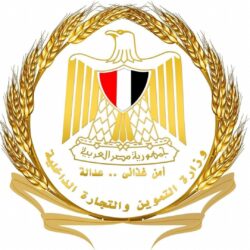 التموين.. سعر مغرٍ لتوريد القمح المحلي أعلى من السعر العالمي 