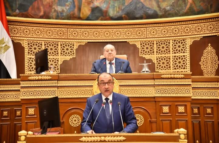 وزير قطاع الأعمال العام : خلال الجلسة العامة لمجلس النواب.
