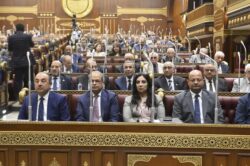 وزير قطاع الأعمال العام : خلال الجلسة العامة لمجلس النواب.