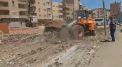 رفع ٢٥٠ طن قمامة من شارع الترعة بحي ثان المحلة الكبرى 