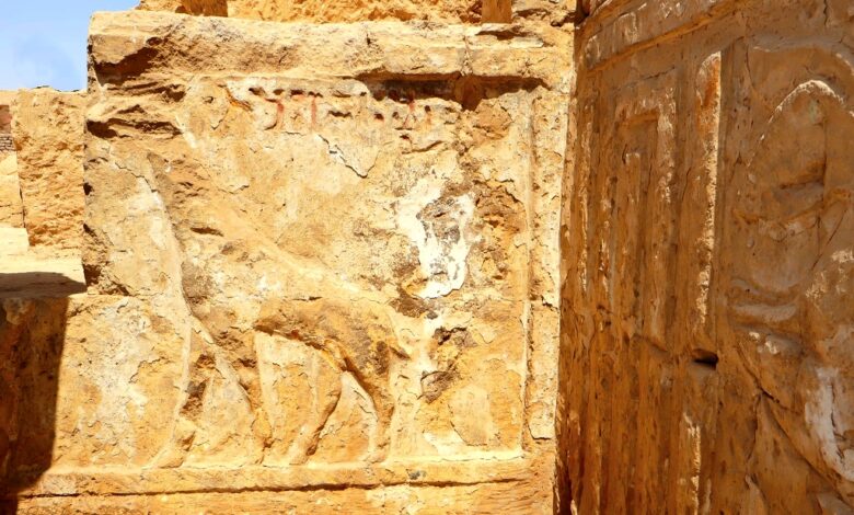 محافظ سوهاج في زيارة للمناطق الأثرية بأتريبس والهجارسة