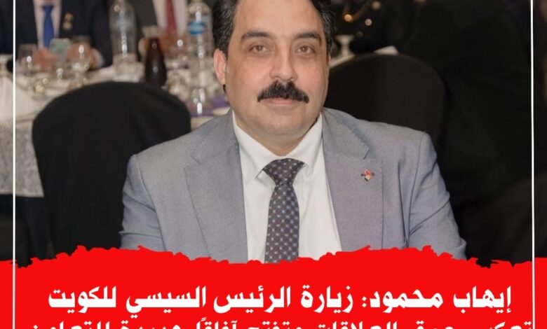 المهندس ايهاب محمود