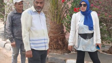 محافظ سوهاج يتابع حملات التجميل في حي الكوثر