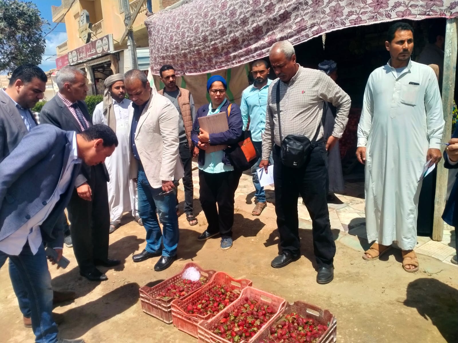 حملات رقابية مكثفة لضبط الأسعار ومنع الغش التجاري بالإسكندرية