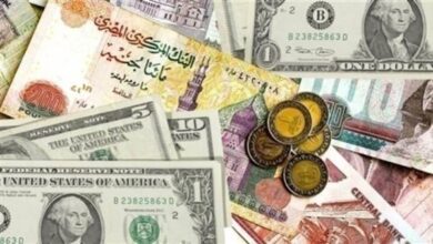 أسعار العملات العربية والأجنبية قبل بداية تعاملات الأربعاء 28 مايو 2025