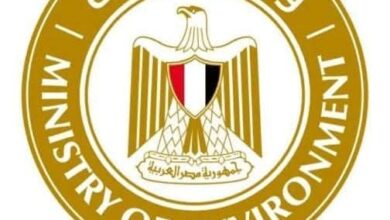 وزيرة البيئة توجه باتخاذ الإجراءات العاجلة لاحتواء تلوث بترولي بمدينة أبورديس
