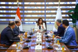 وزيرة التنمية المحلية تتابع الموقف التنفيذي لتطوير كفاءة المجازر الحكومية بالمحافظات