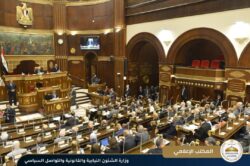 وزير الشئون النيابية والقانونية يحضر جلسة مجلس الشيوخ
