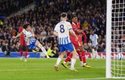 برايتون يفوز على ليفربول فى مباراة دراماتيكية فى الدورى الانجليزى لكرة القدم