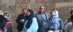 وحدة السكان بالاقصر