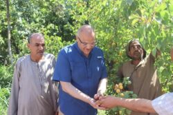 محافظ القليوبية يتفقد مزارع المشمش بقريه العمار بنطاق مركز طوخ