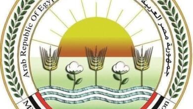 الزراعة" تعلن نتائج الحملة القومية الأولى خلال عام 2025 لتحصين الماشية
