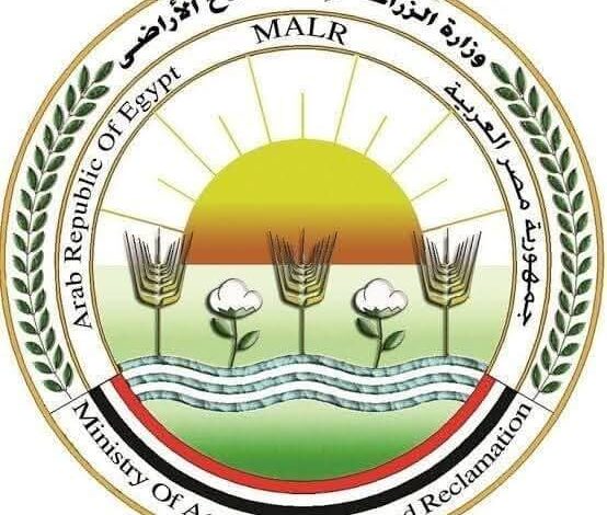 الزراعة" تعلن نتائج الحملة القومية الأولى خلال عام 2025 لتحصين الماشية