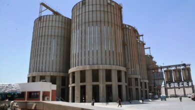 محافظ سوهاج: توريد 82 ألف طن قمح منذ بدء موسم التوريد دون معوقات