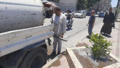 الشطوري ... إستمرار أعمال البساتين والزراعة وري أحواض الزراعة والتجميل بشارع الجرجاوية