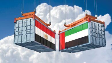 الإحصاء : 46.9 % ارتفاعًا في حجم الصادرات_المصرية إلى الإمارات خلال عام 2024