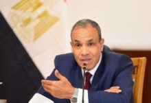 وزير الخارجية يزف بشرى للمصريين بالخارج: بحث تجديد مبادرة استيراد السيارات 