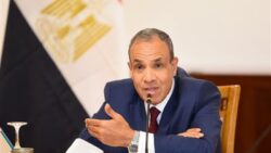 وزير الخارجية يزف بشرى للمصريين بالخارج: بحث تجديد مبادرة استيراد السيارات 
