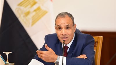 وزير الخارجية يزف بشرى للمصريين بالخارج: بحث تجديد مبادرة استيراد السيارات