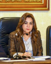 وزيرة التنمية تستعرض جهود قطاع التفتيش والرقابة لمتابعة الأداء بالمحافظات